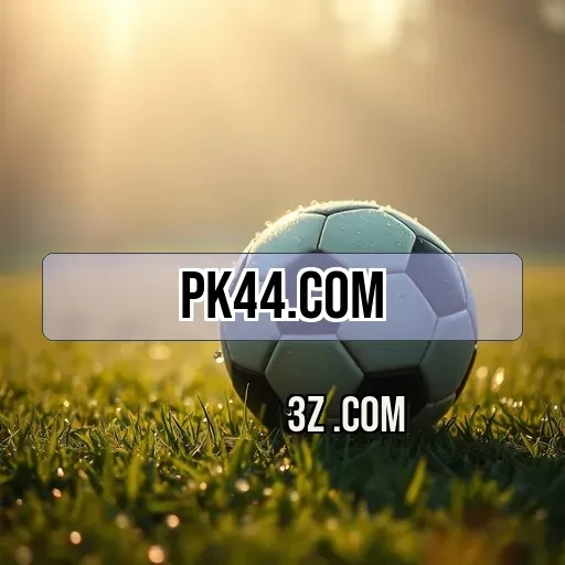 pk44.com Cassino